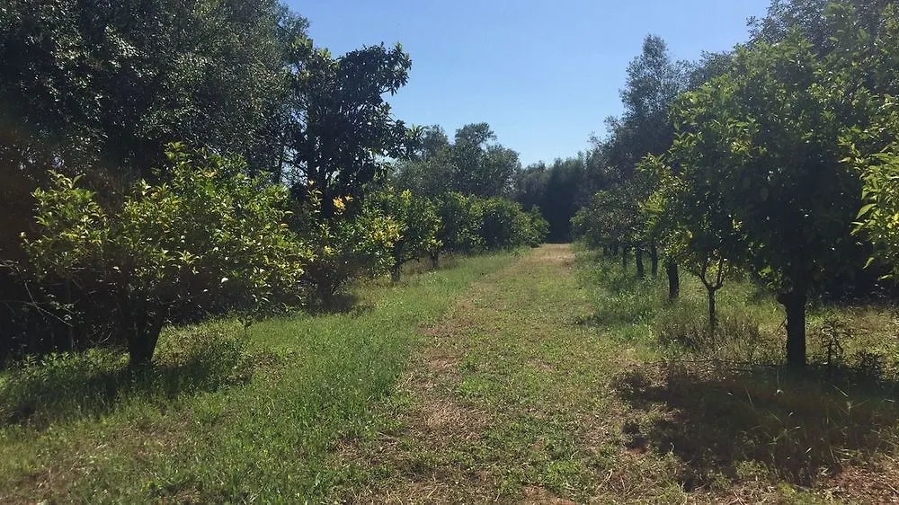 Vale Fuzeiros Nature Guest House
